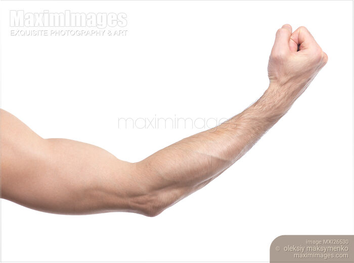 Stock photo of Mans arm with hand in fist Buy commercial use license at MaximImages