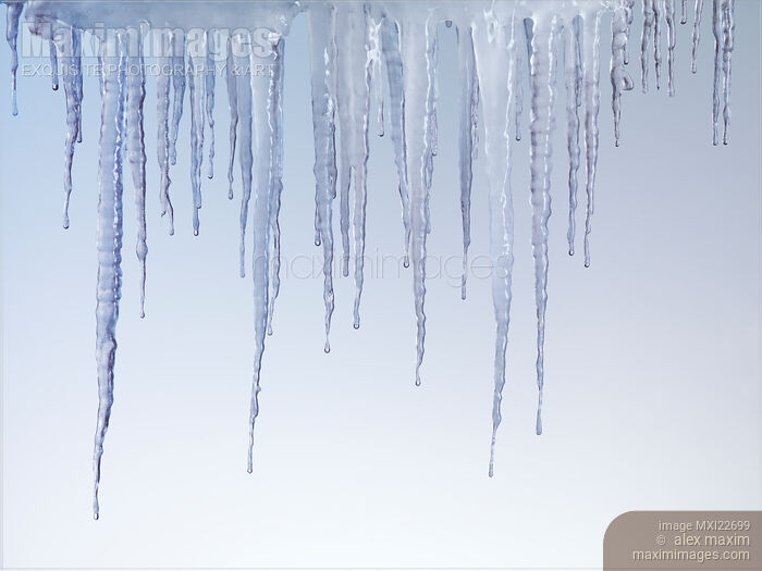 Stock photo of Melting Icicles Buy commercial use license at MaximImages