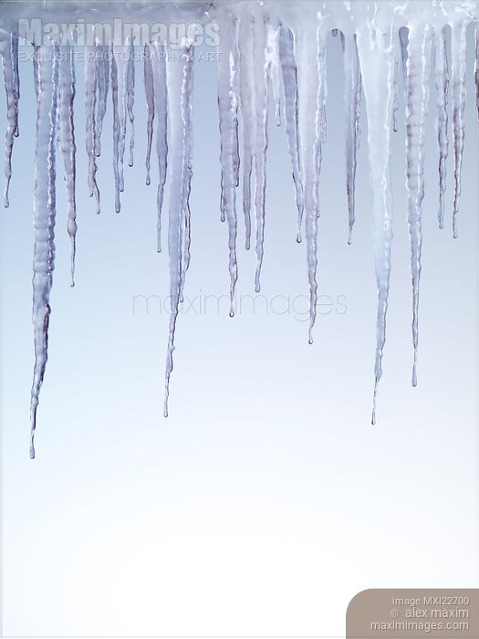 Melting Icicles Stock photo of Melting Icicles Buy commercial use license at MaximImages