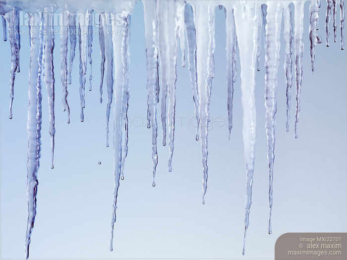 Melting Icicles Stock photo of Melting Icicles Buy commercial use license at MaximImages
