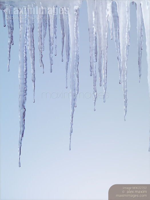 Melting Icicles Stock photo of Melting Icicles Buy commercial use license at MaximImages
