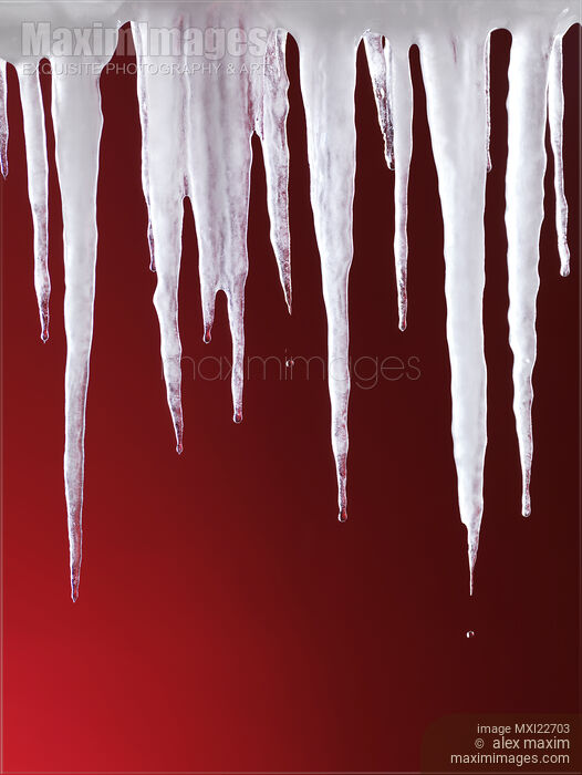 Stock photo of Melting Icicles Buy commercial use license at MaximImages