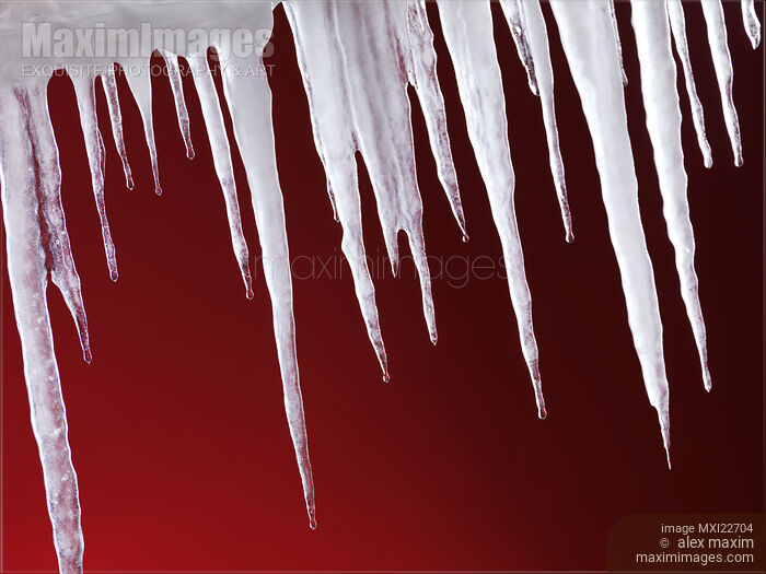 Stock photo of Melting Icicles Buy commercial use license at MaximImages