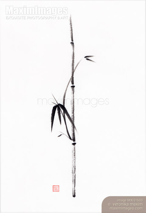 Stock image of Minimalistic bamboo branch with leaves sumi-e ink painting on white Buy commercial use license at MaximImages