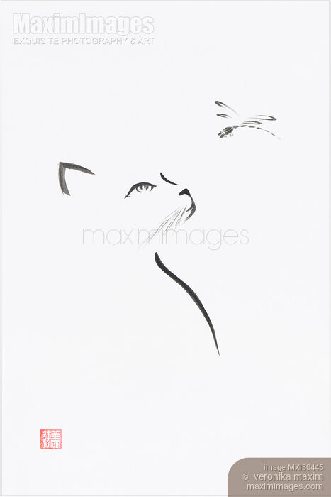Stock image of Minimalistic Sumi-e painting of a cat looking up at a dragonfly Japanese Zen illustration on white rice paper Buy commercial use license at MaximImages