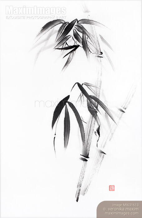 Minimalistic zen sumi-e ink painting of bamboo stalks with bushy leaves Stock image of Minimalistic zen sumi-e ink painting of bamboo stalks with bushy leaves Buy commercial use license at MaximImages