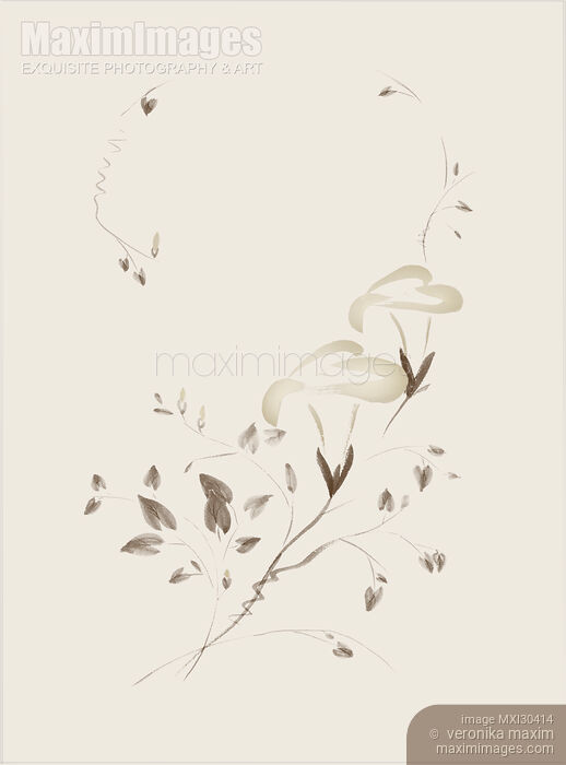 Stock image of Morning Glory flowers Sumi-e illustration artistic design on light beige Buy commercial use license at MaximImages