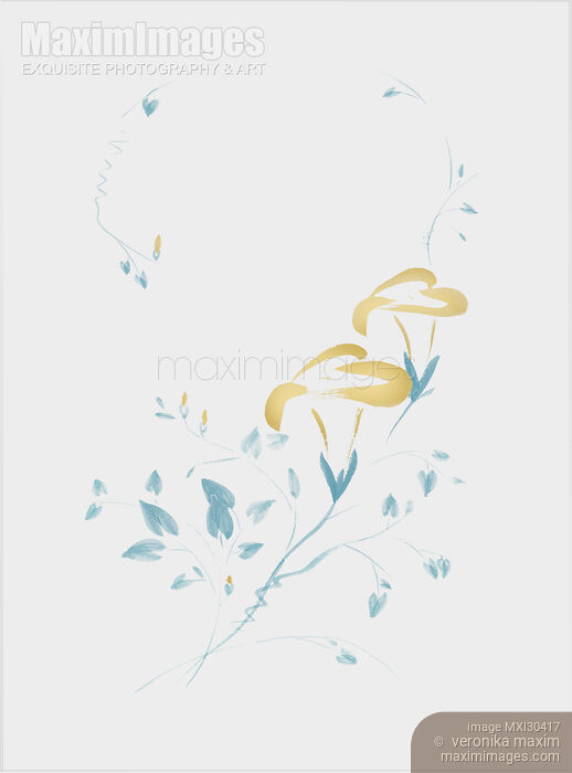 Stock image of Morning Glory flowers Sumi-e illustration artistic light blue design Buy commercial use license at MaximImages