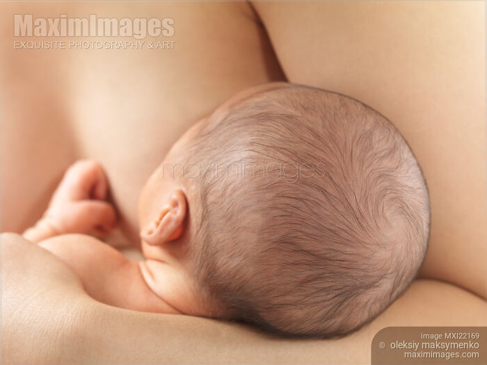 Stock photo of Mother Nursing a Newborn Baby Buy commercial use license at MaximImages