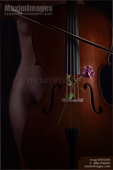 Stock photo of Mysterious nude woman silhouette behind a cello with a rose in strings Romantic sensual concept Buy commercial use license at MaximImages
