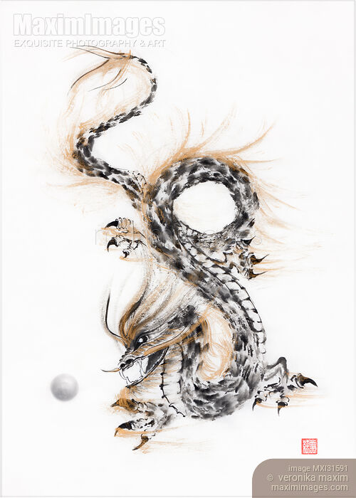 Stock image of Mystical Taoist dragon coiled playing with his Pearl of Wisdom sumi-e ink painting Buy commercial use license at MaximImages
