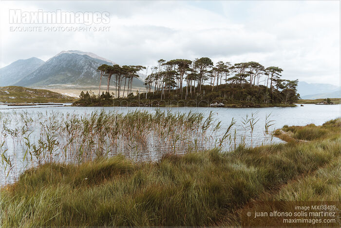 Stock photo of Nature scenery of Derryclare Lough lake at Connemara Park in Ireland Buy commercial use license at MaximImages