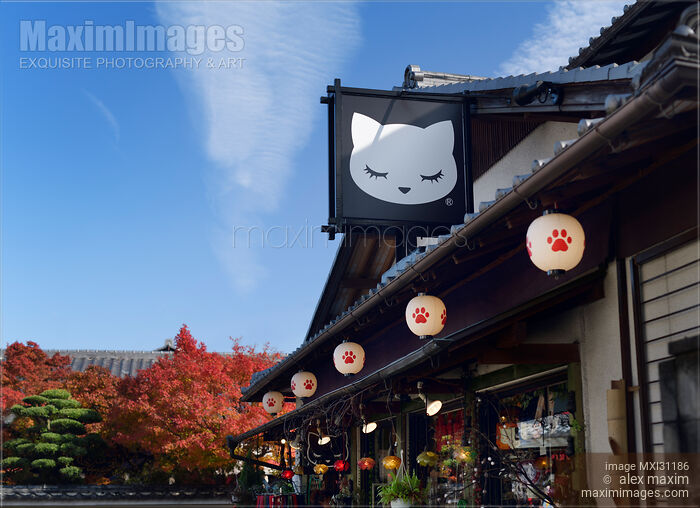 Nekoana cat souvenir store in Kyoto Stock photo of Nekoana cat souvenir store in Kyoto Buy commercial use license at MaximImages
