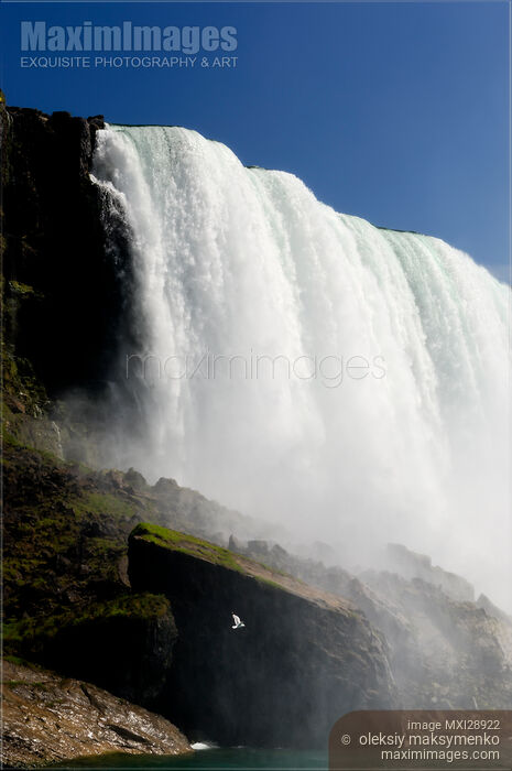 Stock photo of Niagara Falls Buy commercial use license at MaximImages