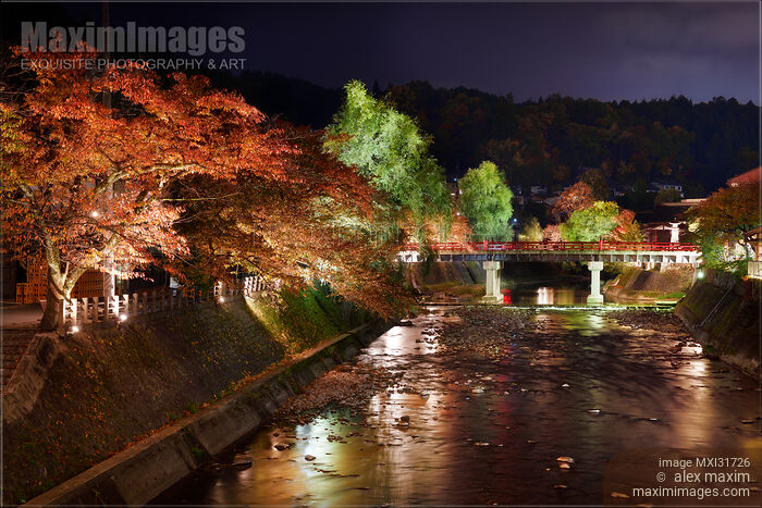 Stock photo of Nighttime autumn scenery of Miyagawa river in Takayama Japan with illuminated trees and Nakahashi bridge Buy commercial use license at MaximImages