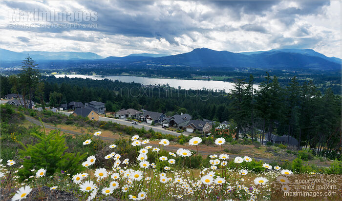 North Cowichan Valley nature scenery Vancouver Island Stock photo of North Cowichan Valley nature scenery Vancouver Island Buy commercial use license at MaximImages