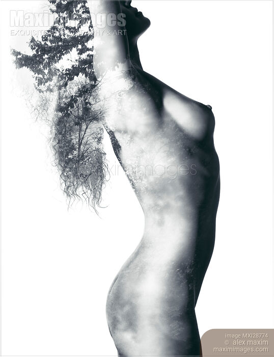Nude woman body with trees and leaves nature design Stock photo of Nude woman body with trees and leaves nature design Buy commercial use license at MaximImages