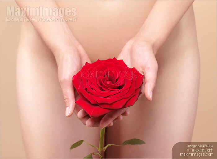 Stock photo of Nude Woman Holding Red Rose Buy commercial use license at MaximImages