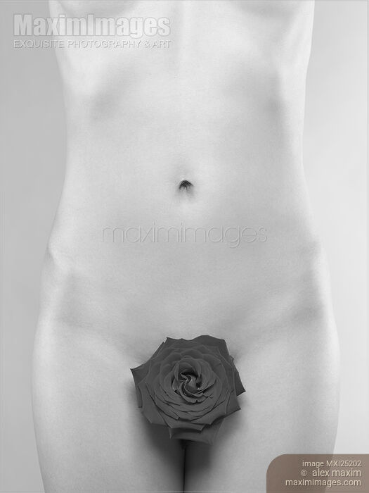 Stock photo of Nude Woman with a Rose Black and white Buy commercial use license at MaximImages