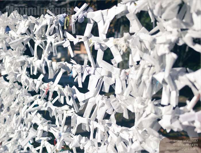 O-mikuji papers with fortune tied at a Shinto Shrine in Kyoto Japan Stock photo of O-mikuji papers with fortune tied at a Shinto Shrine in Kyoto Japan Buy commercial use license at MaximImages