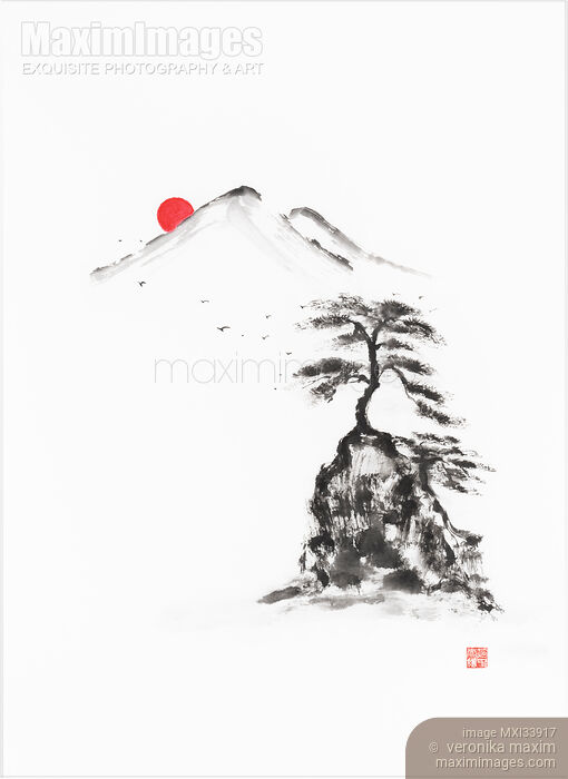 Stock image of Old pine tree growing on top of a rock in sunrise. Oriental Zen sumi-e painting Buy commercial use license at MaximImages