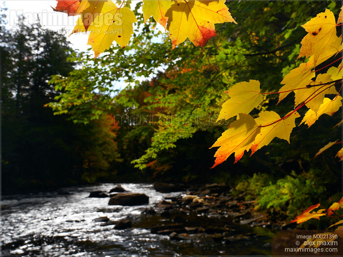 Ontario Autumn Scenery Stock photo of Ontario Autumn Scenery Buy commercial use license at MaximImages