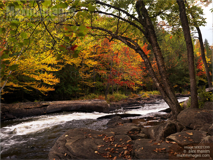 Ontario Autumn Scenery Stock photo of Ontario Autumn Scenery Buy commercial use license at MaximImages