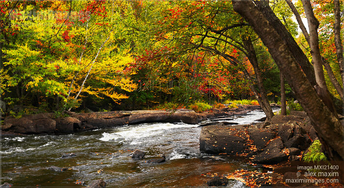 Ontario Autumn Scenery Stock photo of Ontario Autumn Scenery Buy commercial use license at MaximImages