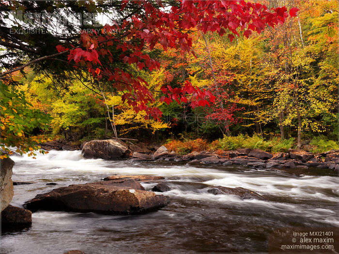 Ontario Autumn Scenery Stock photo of Ontario Autumn Scenery Buy commercial use license at MaximImages