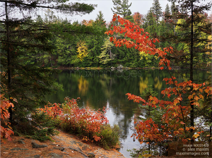 Stock photo of Ontario Autumn Scenery Buy commercial use license at MaximImages