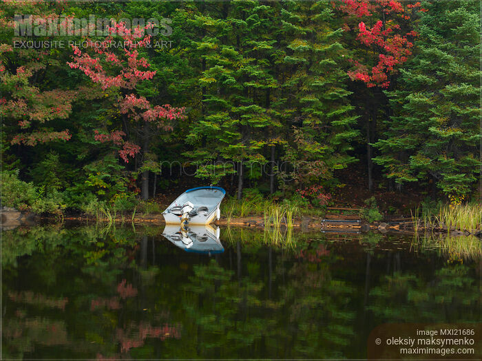 Stock photo of Ontario Autumn Scenery Buy commercial use license at MaximImages