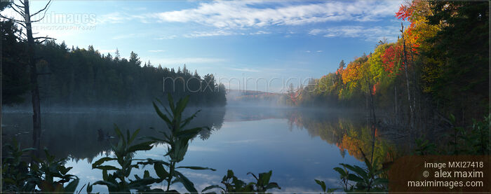 Stock photo of Ontario Autumn Scenery Buy commercial use license at MaximImages