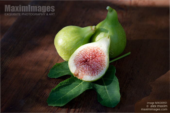 Organic freshly picked ripe Kadota figs on a fig leaf food still life Stock photo of Organic freshly picked ripe Kadota figs on a fig leaf food still life Buy commercial use license at MaximImages