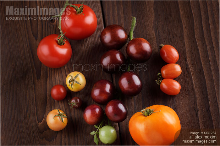 Organic heirloom tomatoes of a variety of sizes and colors food still life Stock photo of Organic heirloom tomatoes of a variety of sizes and colors food still life Buy commercial use license at MaximImages