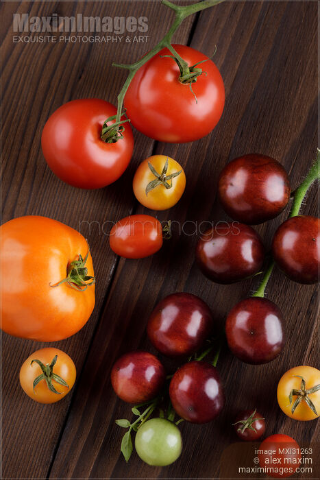 Stock photo of Organic heirloom tomatoes of different sizes and colors artistic still life Buy commercial use license at MaximImages