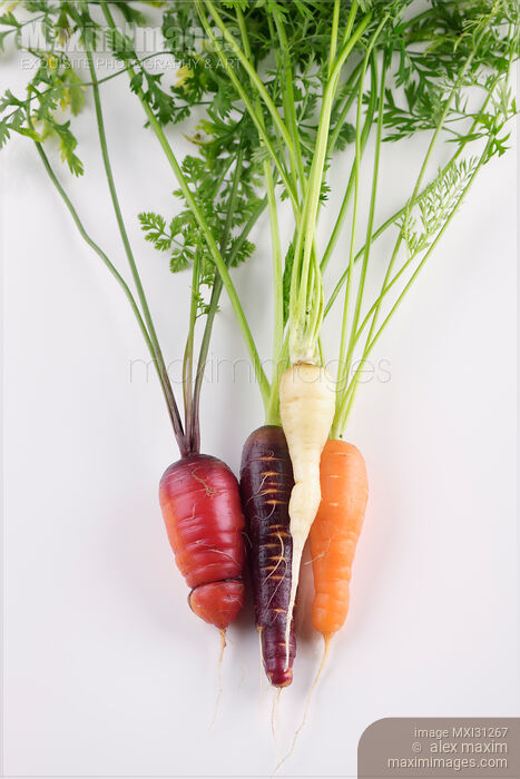 Stock photo of Organic home-grown heirloom carrots in different colors still life isolated on white Buy commercial use license at MaximImages