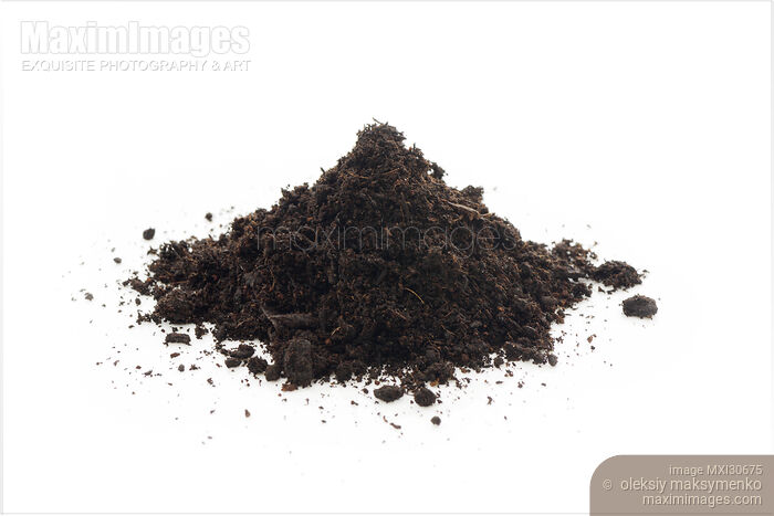 Stock photo of Organic potting soil mix closeup Buy commercial use license at MaximImages
