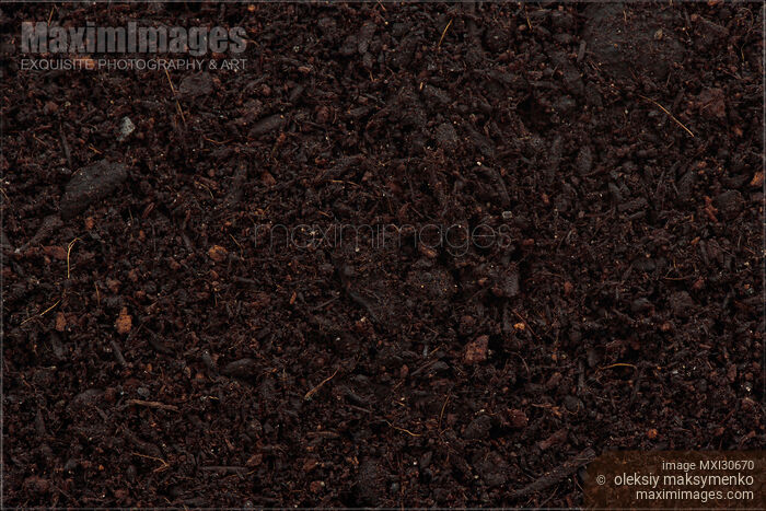 Organic potting soil mix closeup of texture Stock photo of Organic potting soil mix closeup of texture Buy commercial use license at MaximImages
