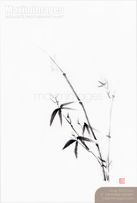 Oriental sumi-e painting of a young bamboo bush with leaves black on white Stock image of Oriental sumi-e painting of a young bamboo bush with leaves black on white Buy commercial use license at MaximImages