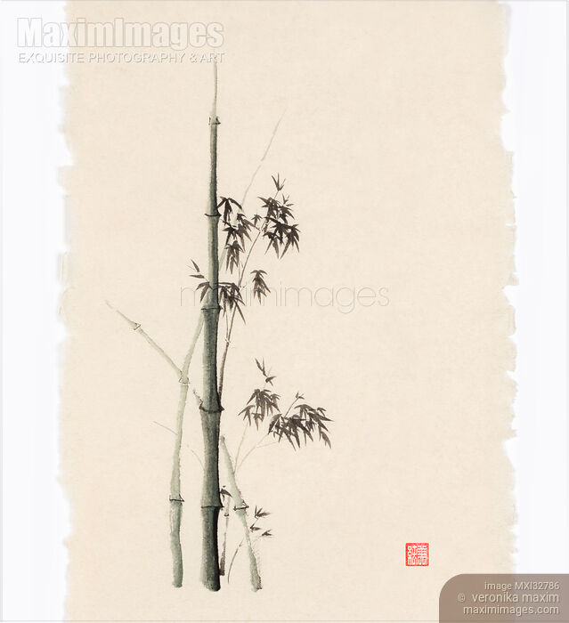 Stock image of Oriental Zen sumi-e painting of a bamboo with green stalk on vintage natural rice paper Buy commercial use license at MaximImages