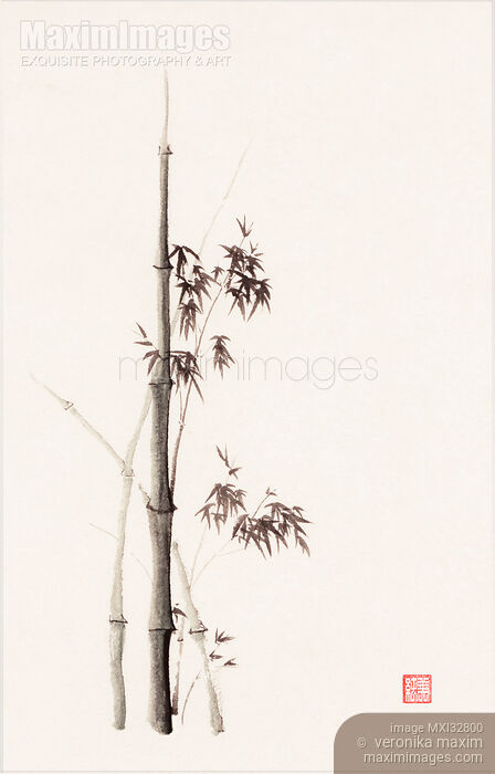 Stock image of Oriental Zen sumi-e painting of young bamboo stalks with leaves on light beige rice paper Buy commercial use license at MaximImages