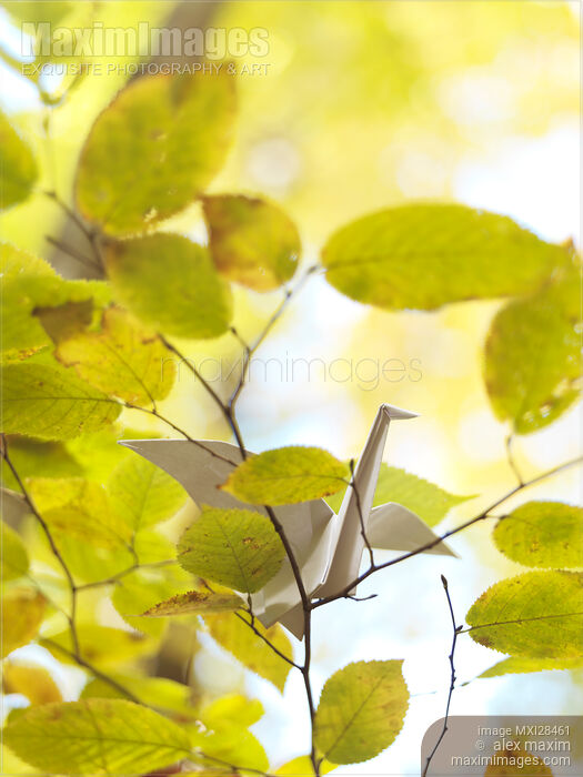 Stock photo of Origami paper crane in autumn nature Buy commercial use license at MaximImages