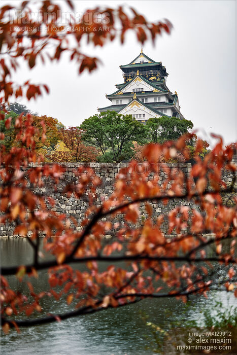 Stock photo of Osaka Castle and canal from behind red tree branches in autumn Buy commercial use license at MaximImages