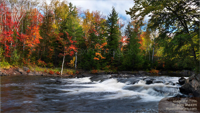 Oxtongue river Ontario Autumn Scenery Stock photo of Oxtongue river Ontario Autumn Scenery Buy commercial use license at MaximImages