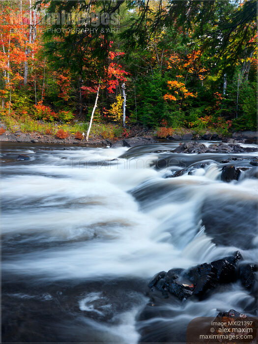 Oxtongue river Ontario Autumn Scenery Stock photo of Oxtongue river Ontario Autumn Scenery Buy commercial use license at MaximImages