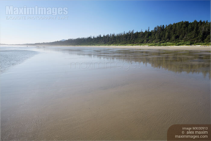 Pacific Rim National Park Reserve Long Beach with Rain forest trees along the shoreline of Pacific ocean Stock photo of Pacific Rim National Park Reserve Long Beach with Rain forest trees along the shoreline of Pacific ocean Buy commercial use license at MaximImages