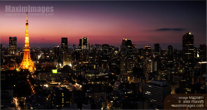 Stock photo of Panoramic city scenery of Tokyo and Tokyo tower Buy commercial use license at MaximImages