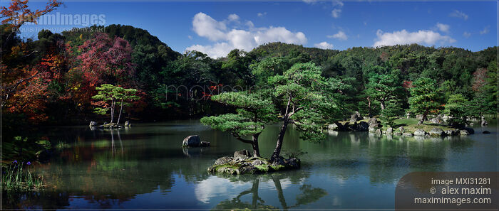 Stock photo of Panoramic landscape scenery of pine trees in a pond at Rokuon-ji Japanese Zen temple garden Buy commercial use license at MaximImages