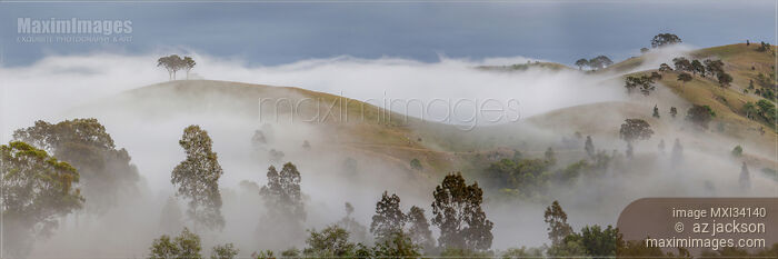 Stock photo of Panoramic scenery of a misty landscape at Hunter Valley, Australia Buy commercial use license at MaximImages