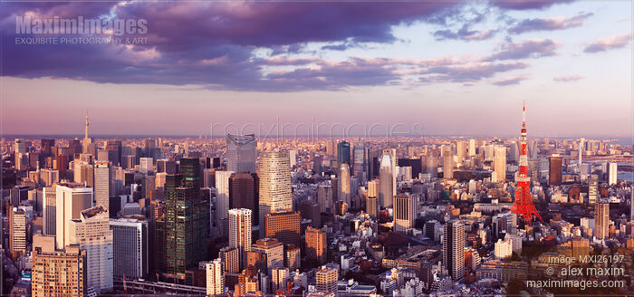 Stock photo of Panoramic scenery of Tokyo tower in cityscape Buy commercial use license at MaximImages